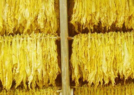 烤煙熱泵烘干工藝，烤煙烘干解決方案