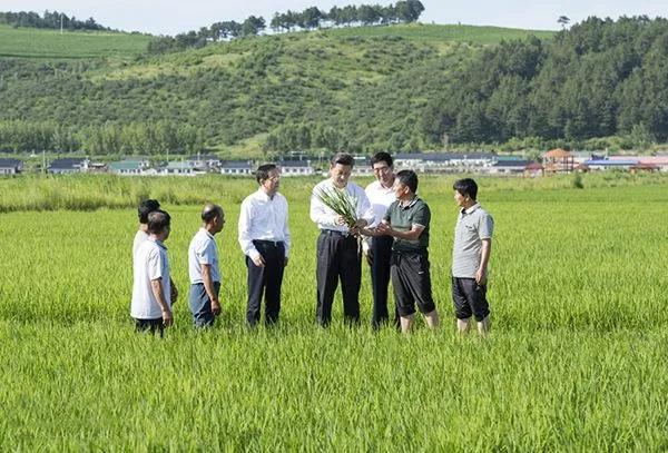  中央高層重視糧食安全，熱泵烘干市場未來可期