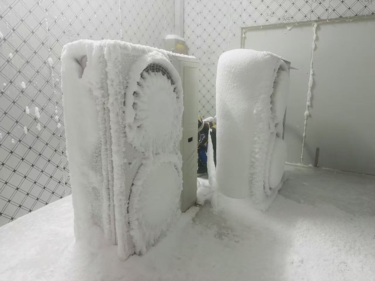 微信圖片_20250213214848駱董供圖3.jpg