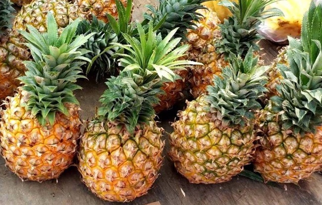 菠蘿